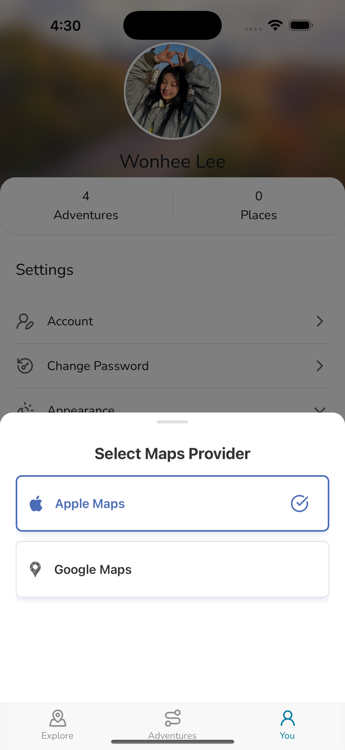 Maps Provider Selector Screenshot iOS